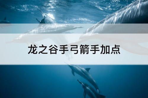 龙之谷手弓箭手加点