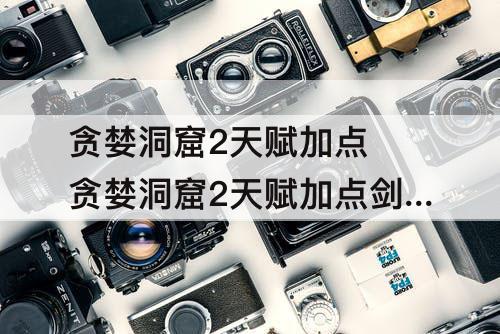 贪婪洞窟2天赋加点 贪婪洞窟2天赋加点剑盾