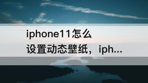 iphone11怎么设置动态壁纸，iphone11怎么设置动态壁纸为什么不动
