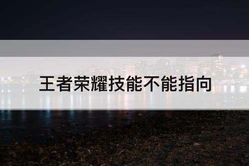 王者荣耀技能不能指向