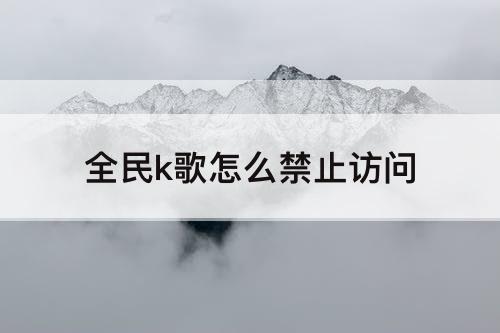 全民k歌怎么禁止访问