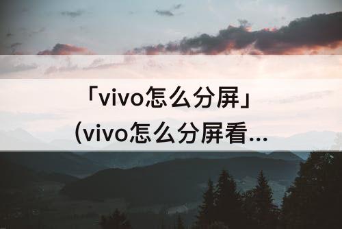 「vivo怎么分屏」(vivo怎么分屏看快手)