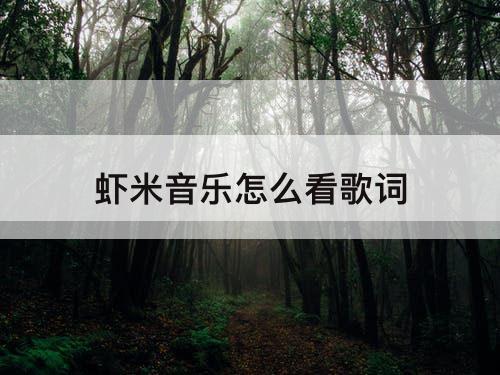 虾米音乐怎么看歌词