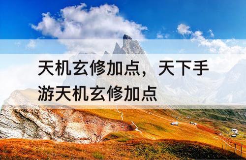 天机玄修加点，天下手游天机玄修加点