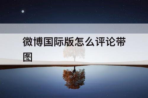 微博国际版怎么评论带图