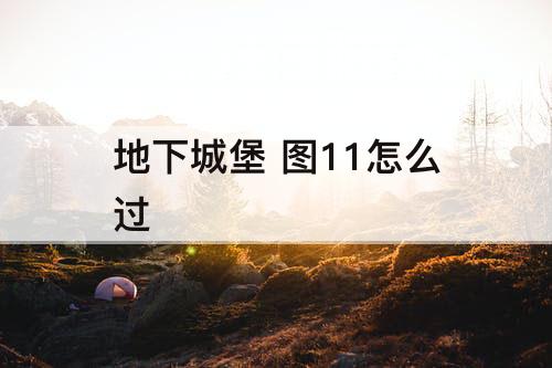 地下城堡 图11怎么过