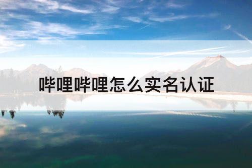 哔哩哔哩怎么实名认证