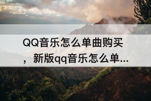 QQ音乐怎么单曲购买，新版qq音乐怎么单曲购买
