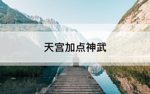 天宫加点神武