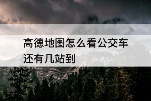 高德地图怎么看公交车还有几站到