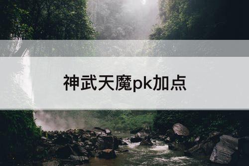 神武天魔pk加点