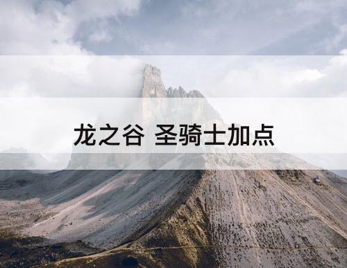 龙之谷 圣骑士加点