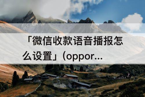 「微信收款语音播报怎么设置」(oppor11微信收款语音播报怎么设置)