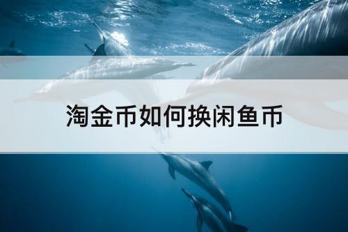 淘金币如何换闲鱼币