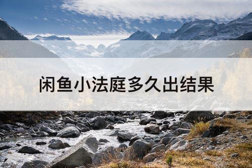 闲鱼小法庭多久出结果