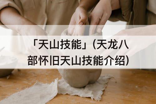 「天山技能」(天龙八部怀旧天山技能介绍)