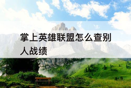 掌上英雄联盟怎么查别人战绩