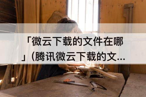「微云下载的文件在哪」(腾讯微云下载的文件在哪)