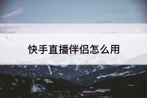 快手直播伴侣怎么用