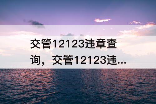 交管12123违章查询，交管12123违章查询图片