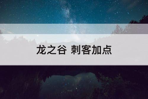 龙之谷 刺客加点