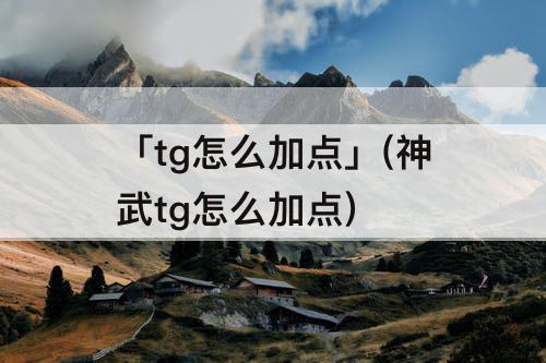 「tg怎么加点」(神武tg怎么加点)