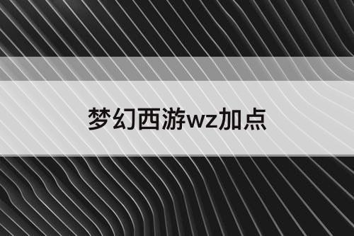 梦幻西游wz加点
