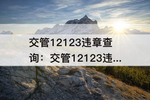 交管12123违章查询：交管12123违章查询下载安装鄂D9NM19