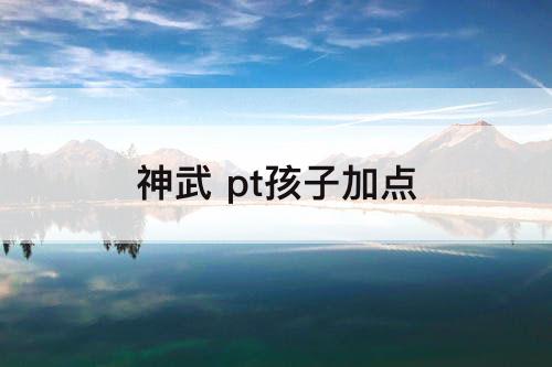 神武 pt孩子加点