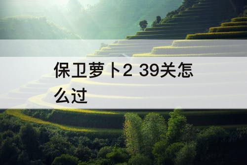 保卫萝卜2 39关怎么过