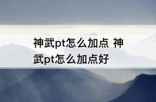 神武pt怎么加点 神武pt怎么加点好
