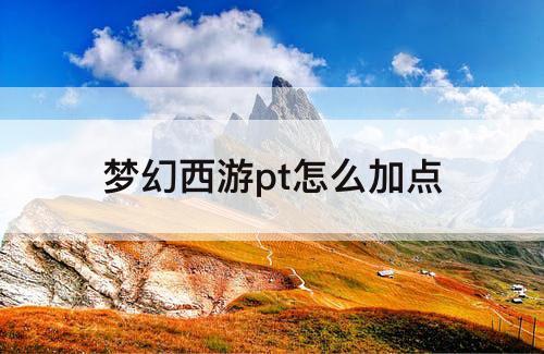 梦幻西游pt怎么加点