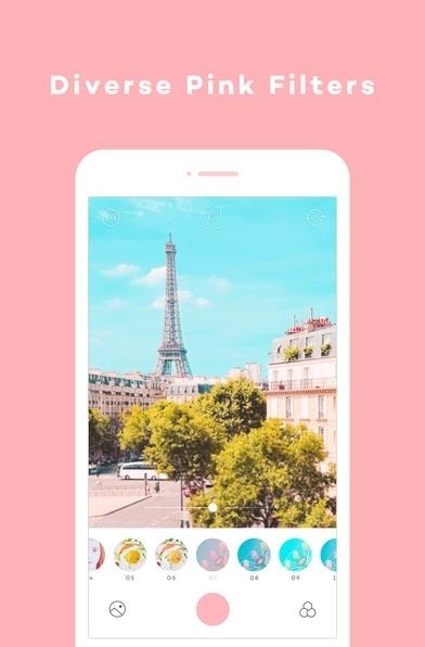 pictail pinklady  v1.0图2