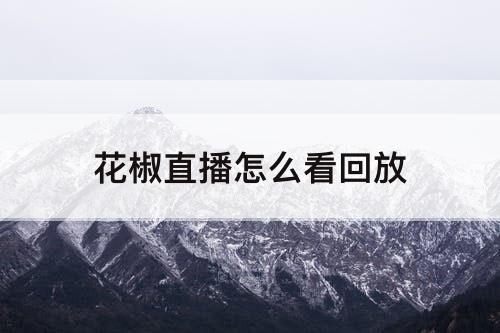 花椒直播怎么看回放
