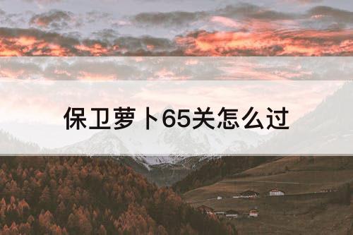 保卫萝卜65关怎么过