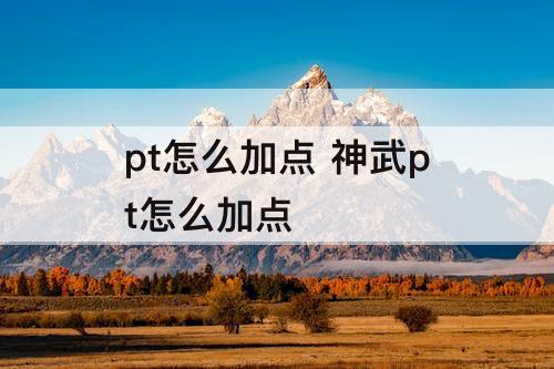 pt怎么加点 神武pt怎么加点