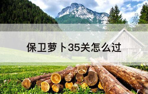 保卫萝卜35关怎么过