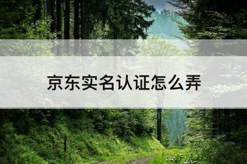 京东实名认证怎么弄