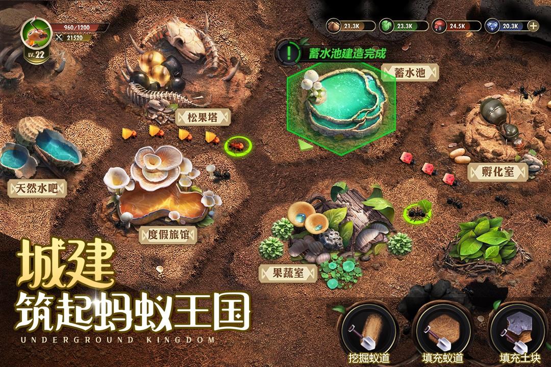 小小蚁国(正版)  v1.36.0图3