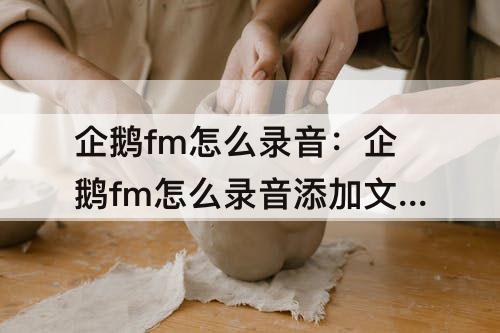 企鹅fm怎么录音：企鹅fm怎么录音添加文案