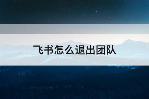 飞书怎么退出团队