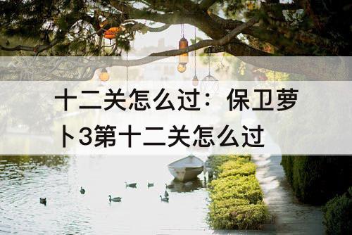 十二关怎么过：保卫萝卜3第十二关怎么过