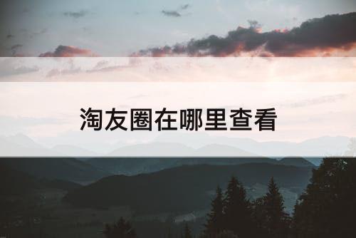 淘友圈在哪里查看