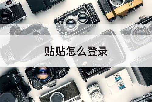 贴贴怎么登录