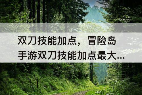 双刀技能加点，冒险岛手游双刀技能加点最大输出