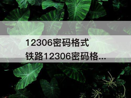 12306密码格式 铁路12306密码格式怎么写例子