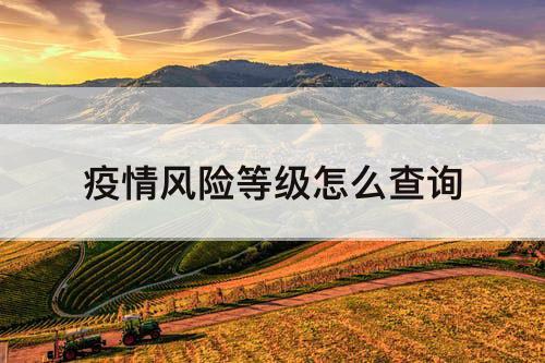 疫情风险等级怎么查询