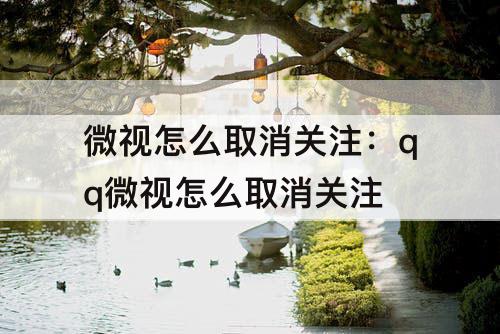 微视怎么取消关注：qq微视怎么取消关注