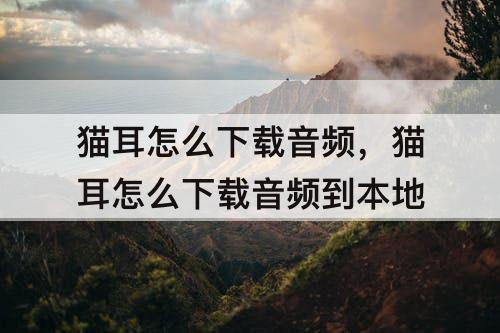 猫耳怎么下载音频，猫耳怎么下载音频到本地