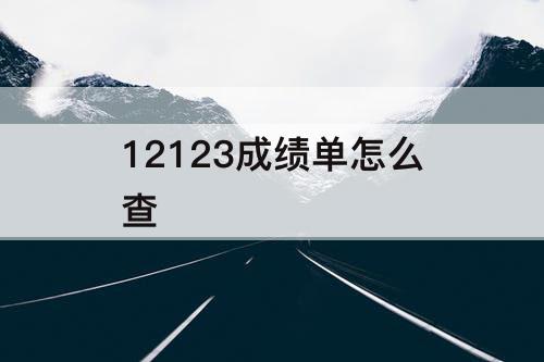 12123成绩单怎么查